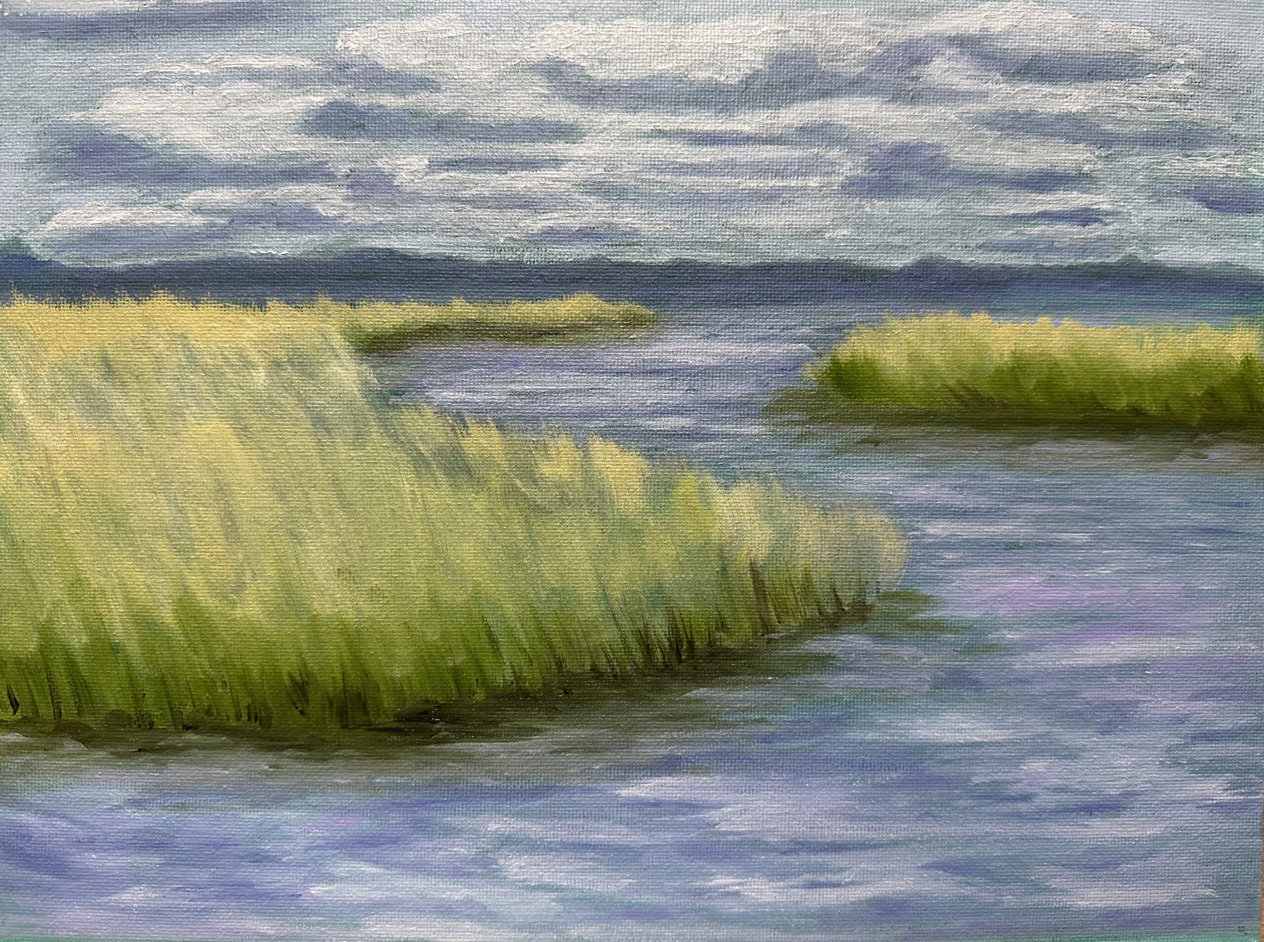 Mississippi Marshland II